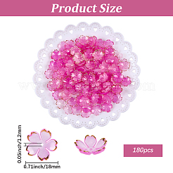 180 tappo di perline acriliche&nbsp;OACR-PA0001-37A