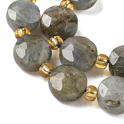 Perline labradorite naturale fili&nbsp;G-G271-C09-10mm