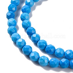 Fili di perline howlite naturale&nbsp;G-C025-02C-10