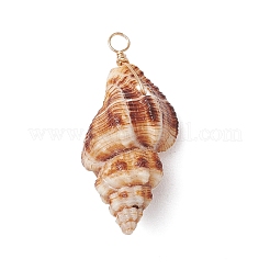 Natürliche Spirale Shell Anhänger&nbsp;PALLOY-JF02950