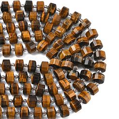 Natürlichen Tigerauge Perlen Stränge&nbsp;G-G453-G04-7x12mm