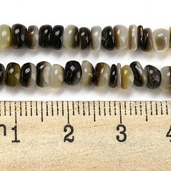 Natur schwarz Lippe Shell Perlen Stränge&nbsp;BSHE-Z005-06