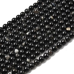 Chapelets de perles en tourmaline noire naturelle&nbsp;G-F666-05-6mm