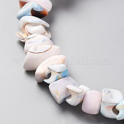 Naturali di acqua dolce perline shell fili&nbsp;SHEL-C001-04