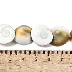 Brins de perles naturelles en coquillage œil de Shiva&nbsp;SHEL-G021-01C