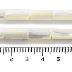 Natürliche Trochusmuschelperlenstränge&nbsp;SSHEL-S266-020A-05