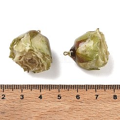 Pendenti in ottone resina epossidica&nbsp;FIND-D043-01G-10
