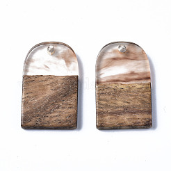 Pendentifs en résine transparente et bois de noyer&nbsp;RESI-T035-32B