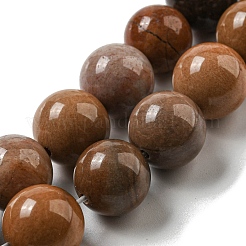 Natürliche versteinertes Holz runden Perle Stränge&nbsp;G-F266-08-12mm