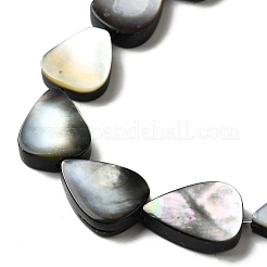 Naturel noir à lèvres shell perles brins&nbsp;BSHE-D300-04C