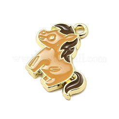 Zink-Legierung Emaille-Anhänger&nbsp;FIND-Z080-01G-08