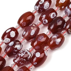 Naturelles feu crépitent agate perles brins&nbsp;G-K393-G03-12x16
