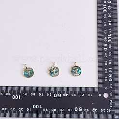 5 Stück natürliche Abalone-Muschel/Paua-Muschel-Anhänger&nbsp;KK-SZ0002-38B