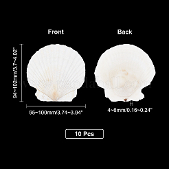 Zubehör für die natürliche Muschelmalerei&nbsp;DIY-WH0225-95