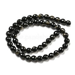 Natürliche goldenen Glanz Obsidian Perlen Stränge&nbsp;G-E571-A01-02