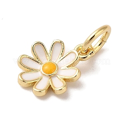 Charms smalto ottone&nbsp;X-KK-L216-006G-01