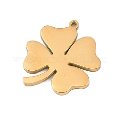 Pendentifs en acier inoxydable 304&nbsp;LS-STAS-Z183-03G