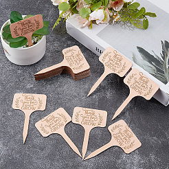 30 étiquette de plante en bois&nbsp;DIY-GF0014-19A