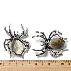 Spilla a forma di ragno con conchiglia tinta in pavé di lega di articoli a duplice uso&nbsp;JEWB-C026-04A-AS