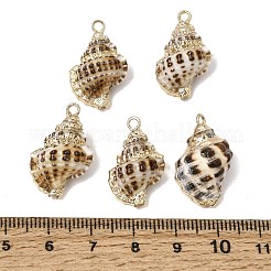 Anhänger aus Messing und natürlichen Muscheln&nbsp;SH-CBA27C9-03