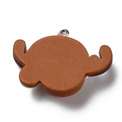 Undurchsichtige Harzanhänger&nbsp;RESI-D055-118P