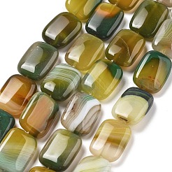 Brins de perles d'agate à bandes naturelles&nbsp;G-K392-B05-13x18mm