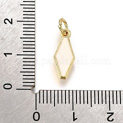 Messing Emaille Anhänger / charms&nbsp;KK-C106-02G