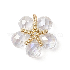 Pendentifs en verre transparent&nbsp;PALLOY-MZ00645