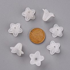 Perles en acrylique transparente&nbsp;PLF018-01