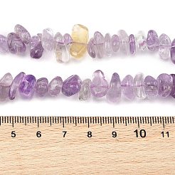 Naturperlen Stränge ametrine&nbsp;G-P622-A02-02