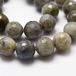 Chapelets de perles en labradorite naturelle &nbsp;G-G736-04-12mm