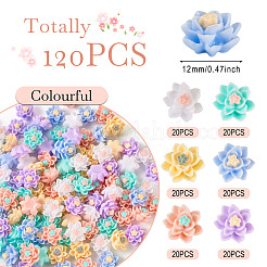 Cabochon in resina opaca 120 pz 6 colori&nbsp;CRES-TA0001-28