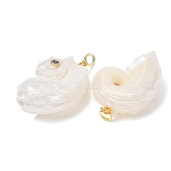 Anhänger aus natürlicher Muschelschale&nbsp;SH-CBAB405-02G