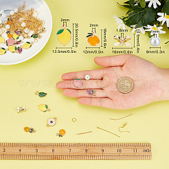 Kit per la creazione di orecchini pendenti con frutta fai da te&nbsp;DIY-SC0018-99