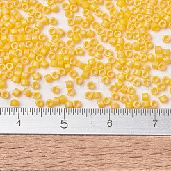 Miyuki Delica Perlen&nbsp;X-SEED-J020-DB1592