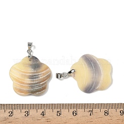 Natürliche Jakobsmuschel-Anhänger&nbsp;SHEL-K006-56P