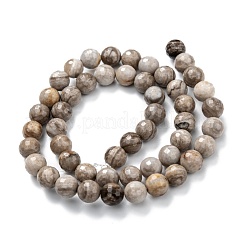 Argento naturale perline foglia diaspro fili&nbsp;G-E444-35A-8mm