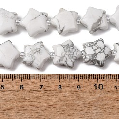 Natürliche Howlith Perlen Stränge&nbsp;G-K359-E20