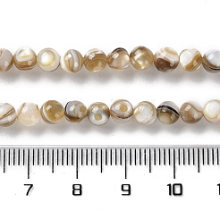 Natürlichen Süßwasser-Muschelperlen Stränge&nbsp;X-SSHEL-B002-15
