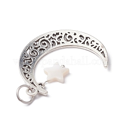Legierung Mond Anhänger&nbsp;PALLOY-JF02290-02