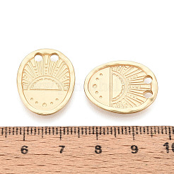Aluminium Anhänger & Charms&nbsp;PALLOY-N179-29MG