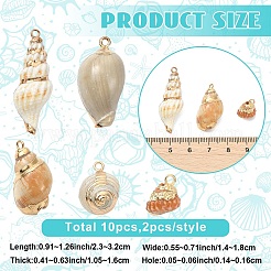 10 pendentif en coquillage naturel mélangé électroplaqué&nbsp;BSHE-YW0001-22