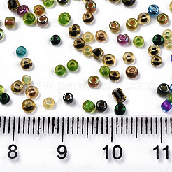 12/0 Glasperlen&nbsp;SEED-R051-06
