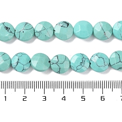 Kunsttürkisfarbenen Perlen Stränge&nbsp;G-K357-B07-01
