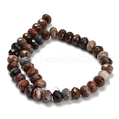 Natürliche versteinerte Holzperlen Stränge&nbsp;G-C259-A06-8x12mm-01