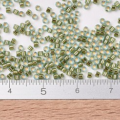 Miyuki Delica Perlen&nbsp;SEED-MY11-DB2522