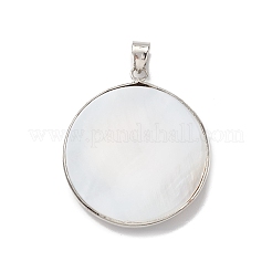 Natürliche Abalone Muschel / Paua Muschel Anhänger&nbsp;BSHE-E029-02P