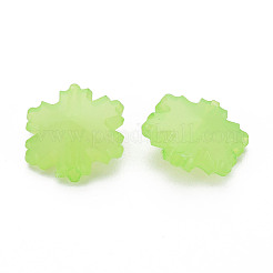 Perles en acrylique de gelée d'imitation&nbsp;LS-MACR-S373-92-E06