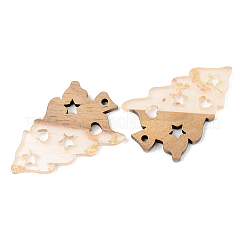 Pendentifs en résine transparente et bois de noyer&nbsp;RESI-S389-006A-B05