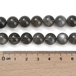 Natürlichen schwarzen Mondstein Perlen Stränge&nbsp;G-L631-A05-10mm
